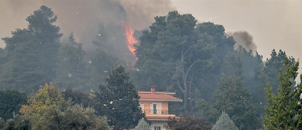 Φωτιά - Ηλεία: “Μάχη” σε 3 μέτωπα - 9 πυρκαγιές εκδηλώθηκαν από το πρωί σε περιοχές του νομού (εικόνες)