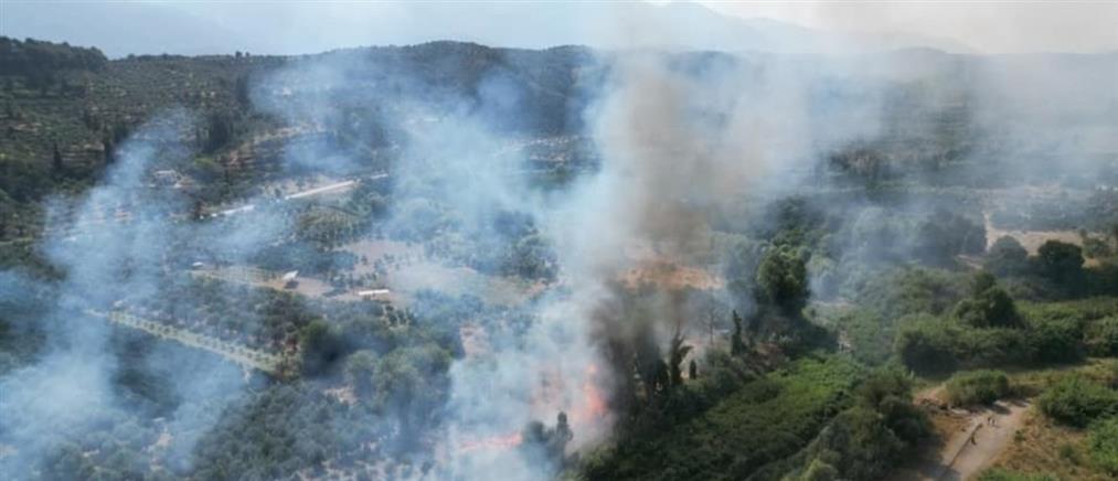 Φωτιά στη Λακωνία, επιχειρούν και εναέρια μέσα (εικόνες)