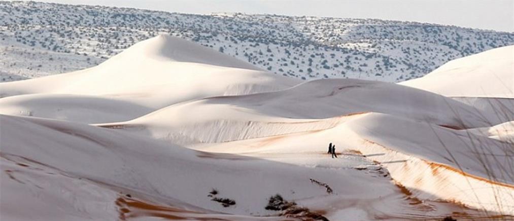 Η έρημος Σαχάρα καλύφθηκε από χιόνι! (βίντεο)