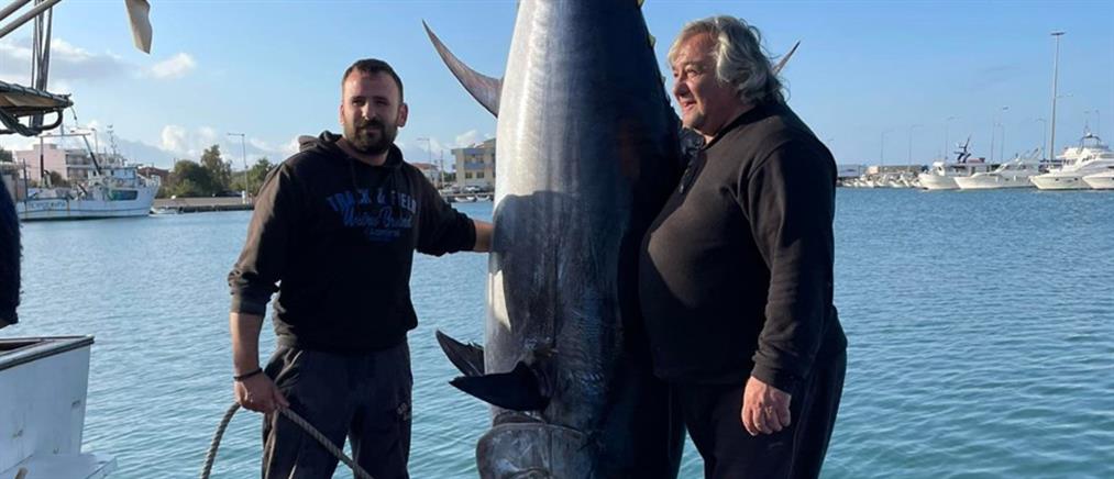 Κυλλήνη: Έπιασαν ψάρι 400 κιλών! (εικόνες)