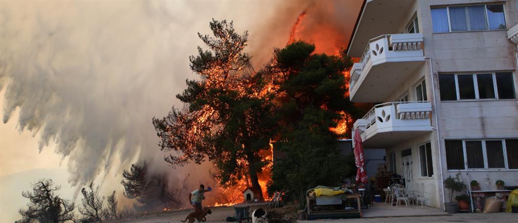 Πάρνηθα - Φωτιά στην Φυλή: Καίγονται σπίτια - Ανεξέλεγκτο το μέτωπο (εικόνες)