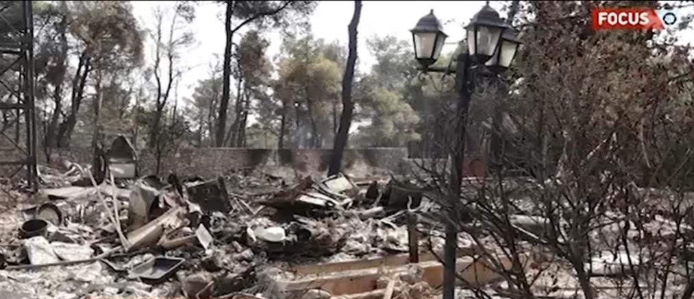 Φωτιά στην Ιπποκράτειο Πολιτεία: “χάθηκαν οι “ζωές” μας, μαζί με τα καμένα σπίτια” (βίντεο)