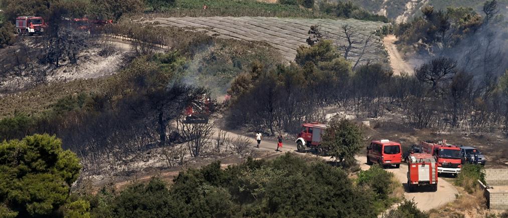 Φωτιά στην Κορινθία: Μάχη της πυροσβεστικής με διάσπαρτες εστίες