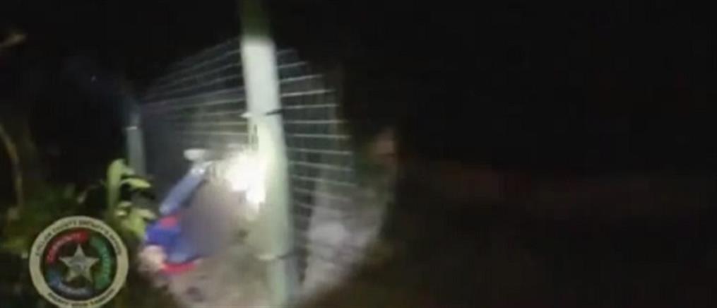 Φλόριντα: Τίγρης γραπώνει άνδρα που έβαλε το χέρι στο κλουβί της (βίντεο)
