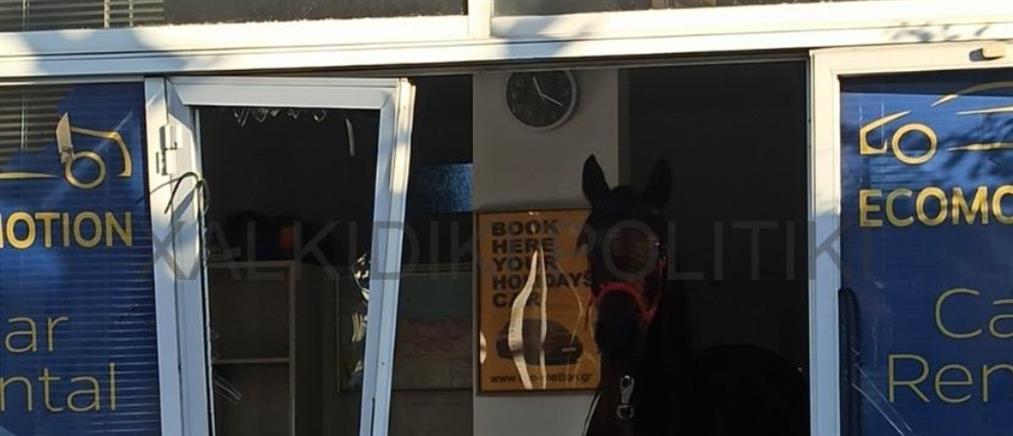 Χαλκιδική: Άλογο... “επισκέφτηκε” κατάστημα και το ρήμαξε (εικόνες)