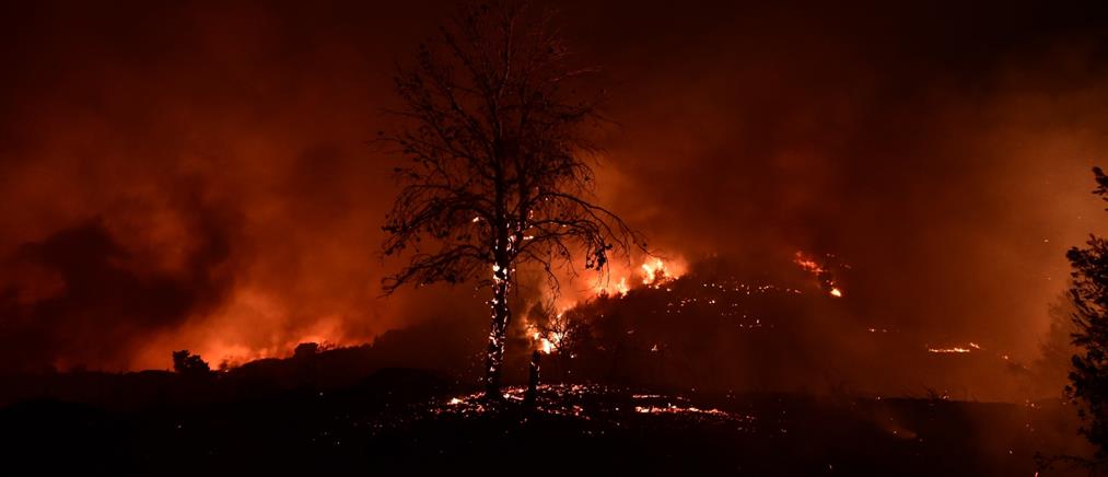 Φωτιές στην Αττική: Στην Πελοπόννησο έφτασε το τοξικό νέφος