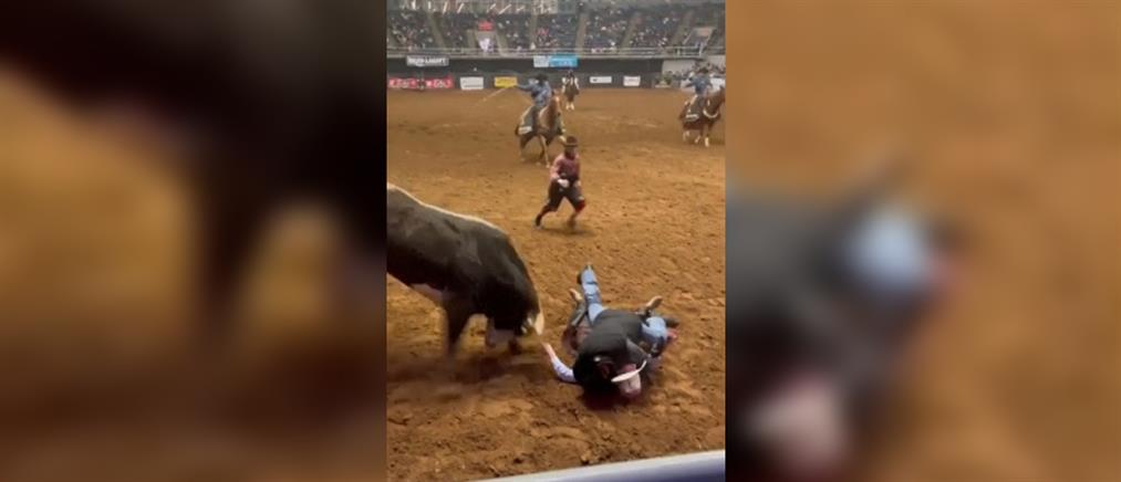 Τέξας: Έσωσε το γιο του από ταύρο (βίντεο)