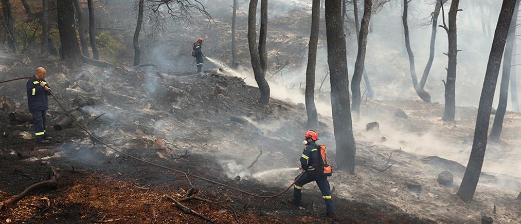 Δασικές πυρκαγιές: 88 εστίες το τελευταίο 24ωρο