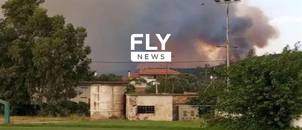 Μεγάλη φωτιά στην Λακωνία: Αναγκαστική προσγείωση ελικοπτέρου ERRICSON