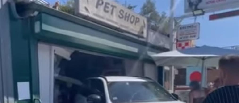 Τροχαίο στη Χαλκιδική: Αυτοκίνητο “σφηνώθηκε” μέσα σε Pet-Shop (βίντεο)