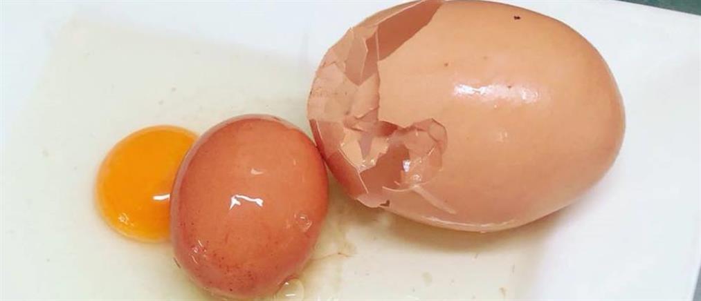 Έσπασε το αυγό και βγήκε από μέσα… άλλο ένα (φωτογραφίες)