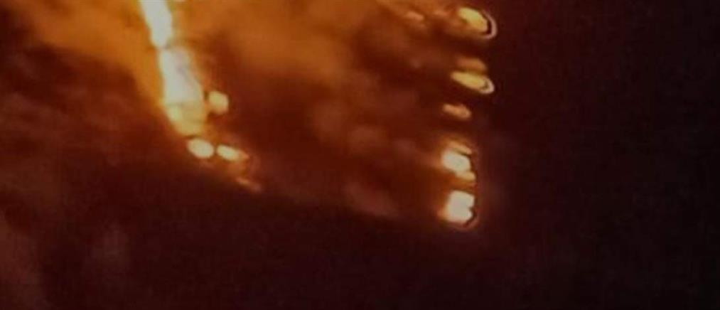 Φωτιά στην Εύβοια: Αναζωπύρωση στο χωριό Σχιζάλη (βίντεο)