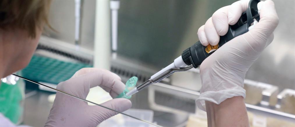 Ερευνητές αποκατέστησαν κυτταρικές λειτουργίες μετά θάνατον