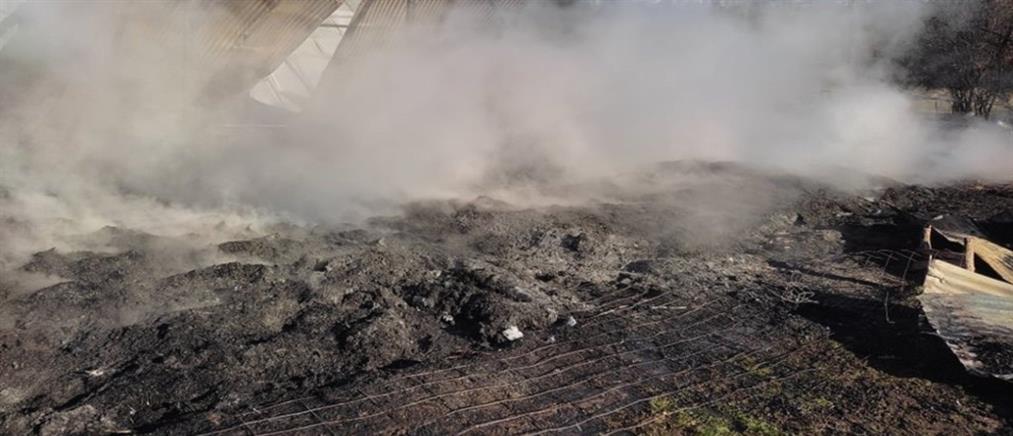 Καστοριά: Κάηκαν ζωντανά εκατοντάδες αιγοπρόβατα (εικόνες)