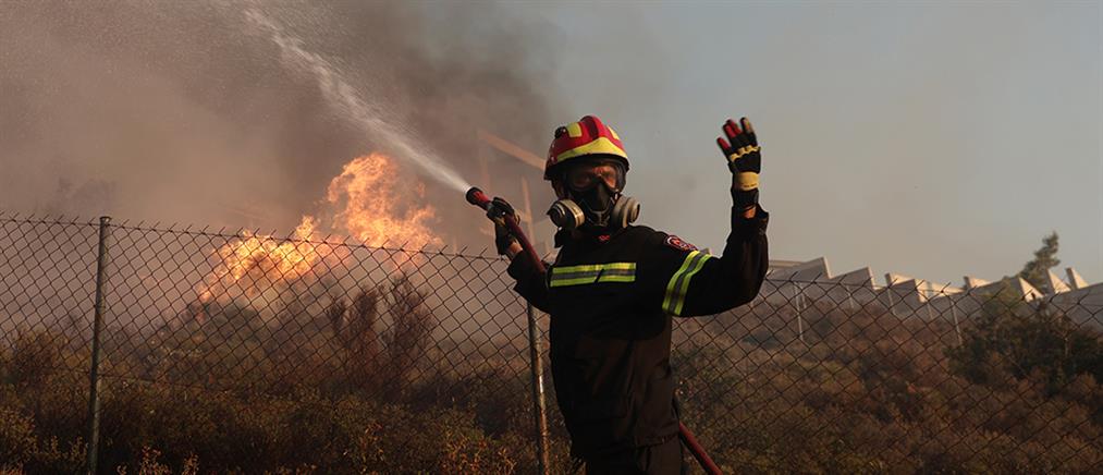 Ηράκλειο: Φωτιά κοντά στο δάσος της Κέρης