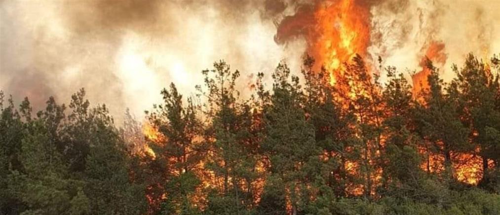 Ρέθυμνο: Φωτιά στην περιοχή Κάτω Σακτούρια - Ήχησε το 112