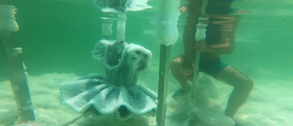 “Κρυστάλλινα” αγάλματα με αλάτι στη Νεκρά Θάλασσα (βίντεο)