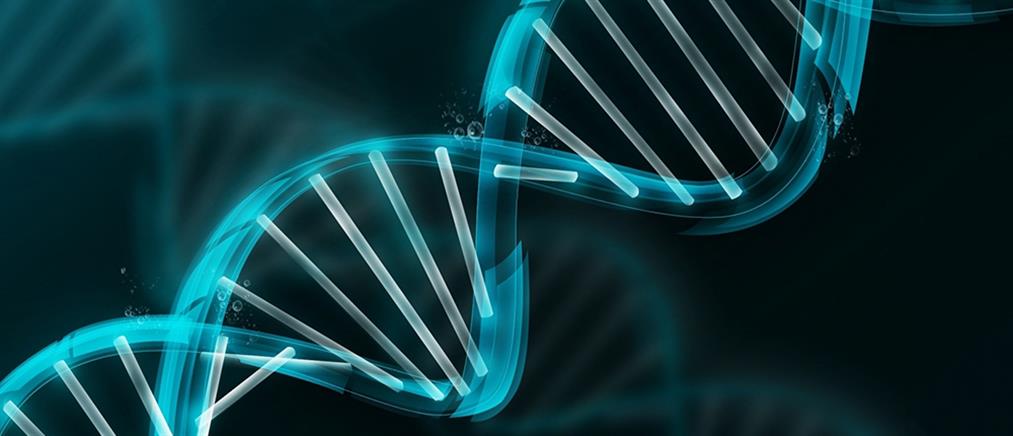 Η διπλή έλικα του DNA, παίρνει διάφορα σχήματα