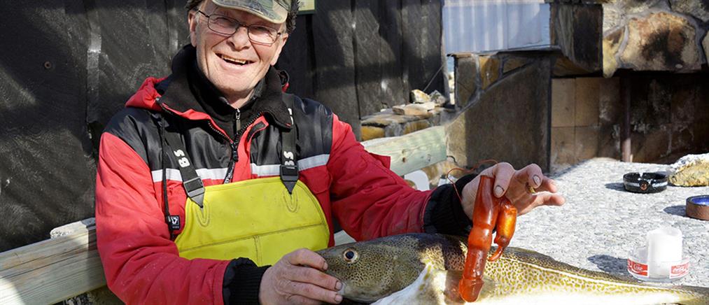 Ψάρι κατάπιε δονητή στη Νορβηγία