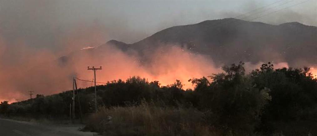 Τίρανα: ευγνώμονες στην Ελλάδα για τη βοήθεια της στις πυρκαγιές