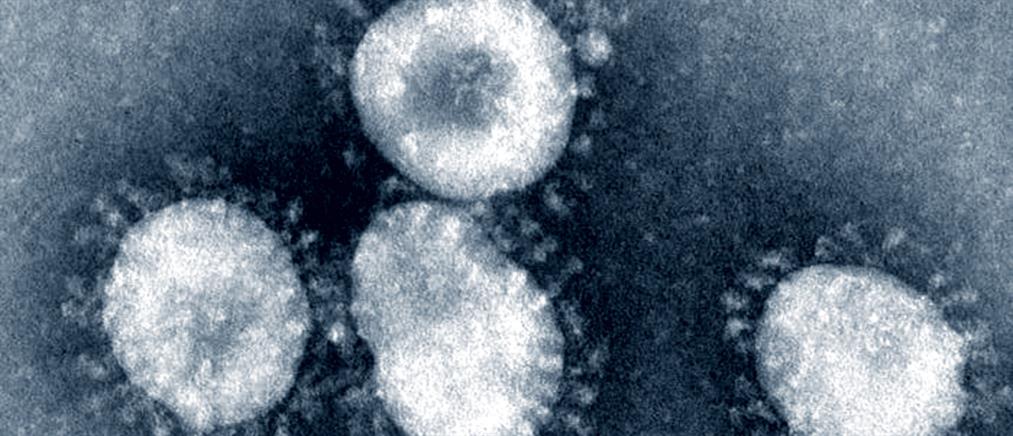 Ελπίδα για θεραπεία του φονικού ιού MERS