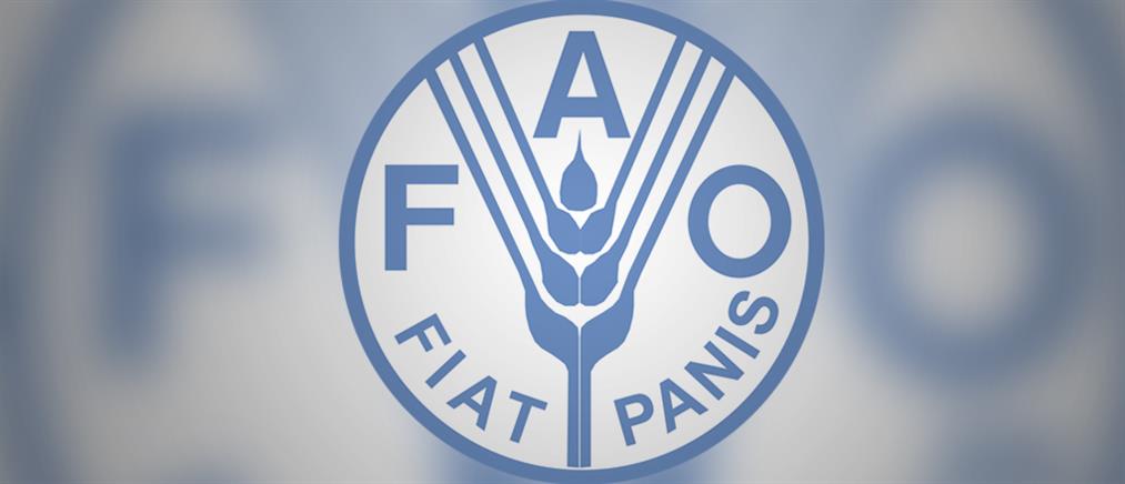 FAO: Ανησυχητική η επισιτιστική κατάσταση στο Ιράκ
