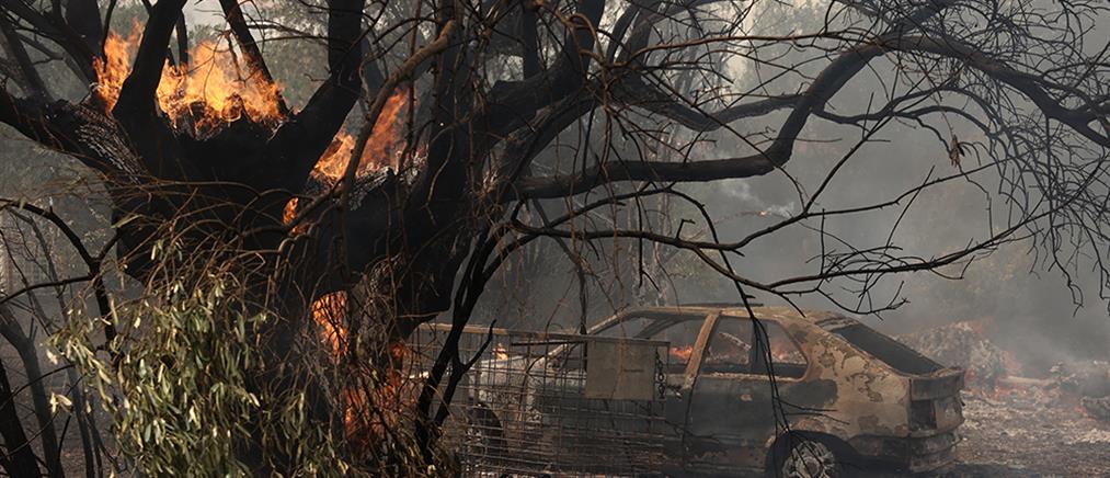 Φωτιές σε Μάνδρα, Δερβενοχώρια και Λουτράκι: ανεξέλεγκτα μέτωπα, αναζωπυρώσεις και εκκενώσεις (εικόνες)