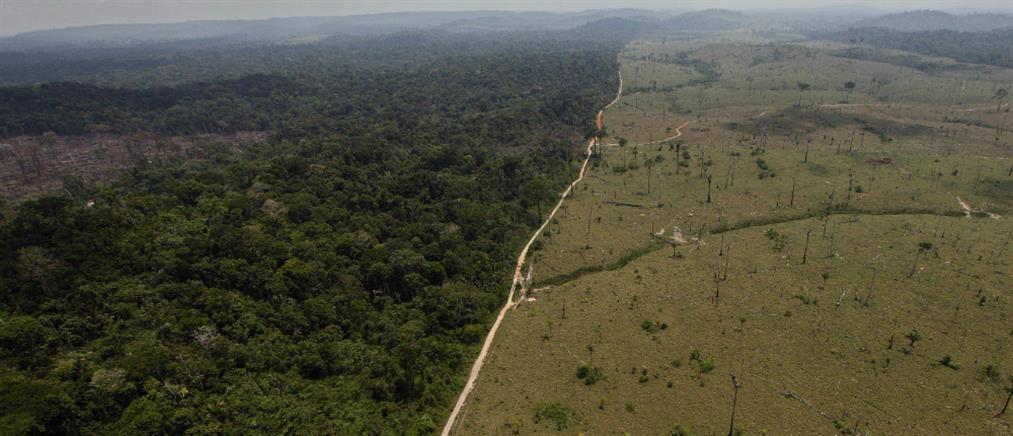 “SOS” εκπέμπουν τα δάση του Αμαζονίου (βίντεο)