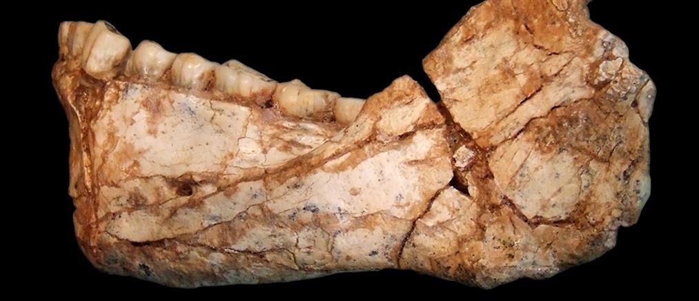 Βρέθηκαν τα παλαιότερα απολιθώματα Homo Sapiens (φωτο)