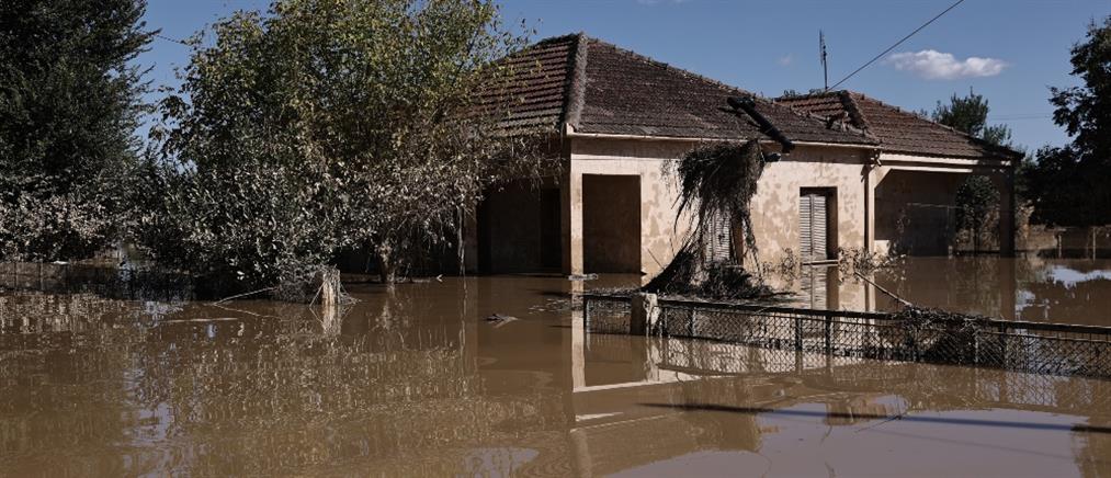 Πλημμύρες στη Θεσσαλία - Τριαντόπουλος: Σήμερα η 14η καταβολή της πρώτης αρωγής για τους πληγέντες
