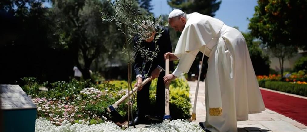 Πάπας Φραγκίσκος - Πέρες: Φύτεψαν μαζί μια ελιά
