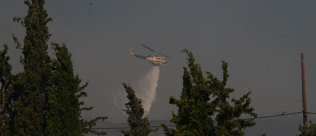 Φωτιές - Πυροσβεστική: Μάχη σε 11 πύρινα μέτωπα