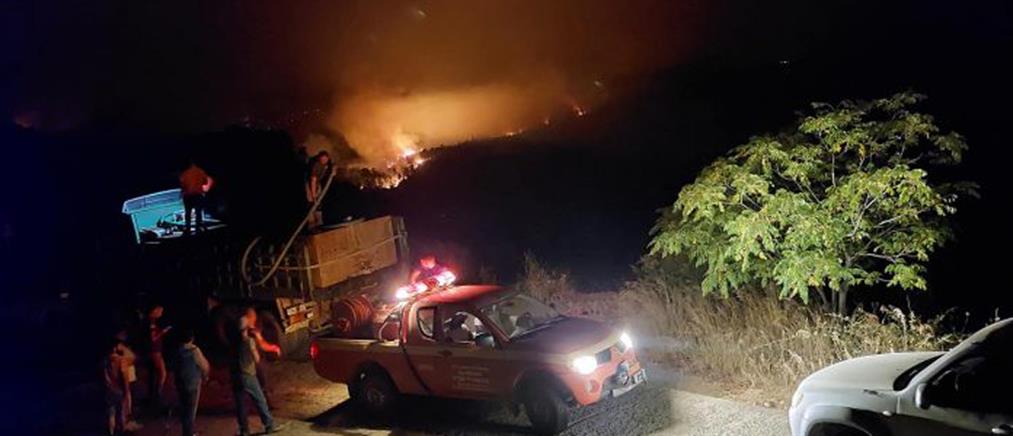 Φωτιά στη Γορτυνία: ολονύχτια μάχη με τις φλόγες