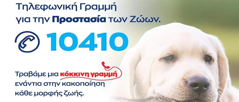 Αστυνομία - 10410: τηλεφωνική γραμμή για την προστασία των ζώων