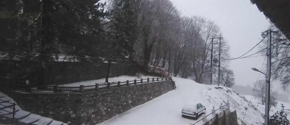 Ήρθαν τα χιόνια: “Στα λευκά ντύθηκαν” Πήλιο και Φλώρινα (εικόνες)