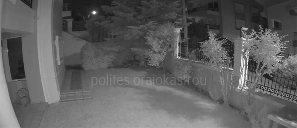 Θεσσαλονίκη: Οι επιθέσεις με αβγά σε σπίτια έγιναν... μάστιγα (βίντεο)