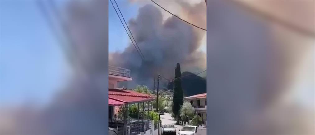 Φωτιά σε δασική έκταση στο Πόρτο Γερμενό (εικόνες)