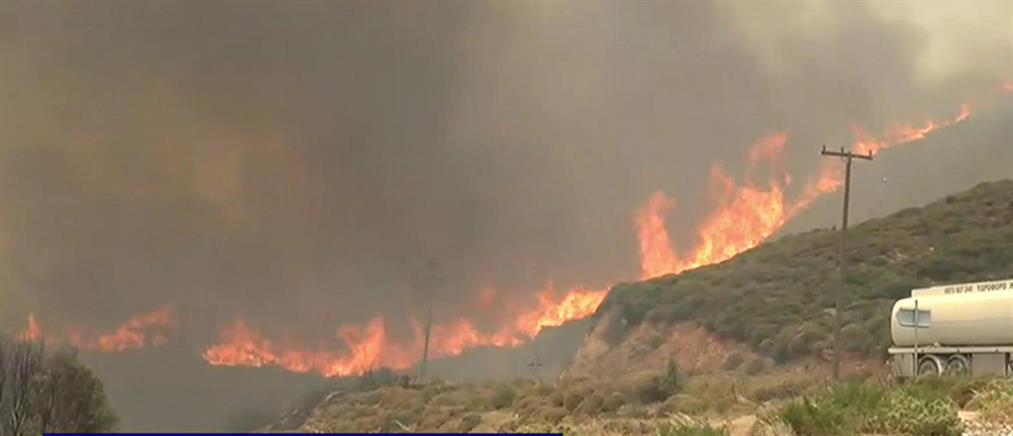 Φωτιές σε Ρόδο, Κέρκυρα, Κάρυστο: Μάχη με εστίες και αναζωπυρώσεις
