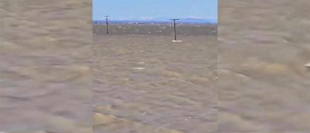 Κακοκαιρία - Κάρλα: Φουρτουρνιασμένη λίμνη έχει κατακλύσει τα χωράφια (βίντεο)