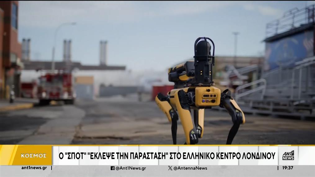 Σκύλος - ρομπότ “Spot”: Ο Έλληνας που το σχεδίασε μιλά στον ΑΝΤ1