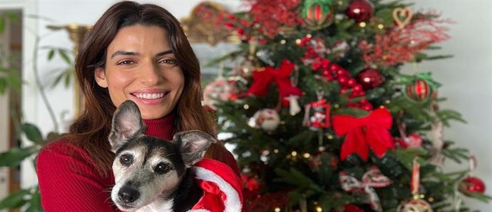 Τόνια Σωτηροπούλου: Αγκαλιά με τη σκυλίτσα της μπροστά στο χριστουγεννιάτικο δέντρο