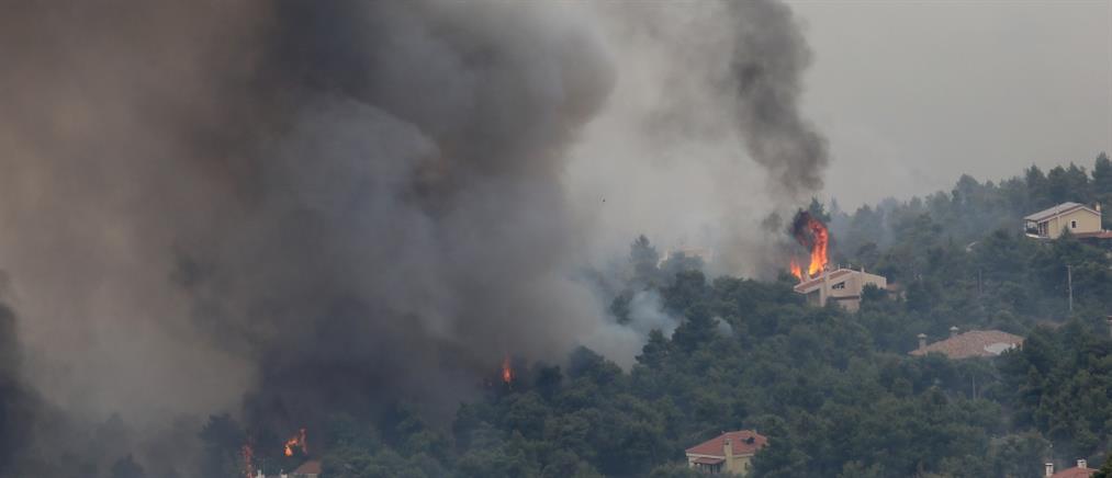 Φωτιά στην Αττική: Εκκένωση σε Μαλακάσα, Καπανδρίτι και Πολυδένδρι