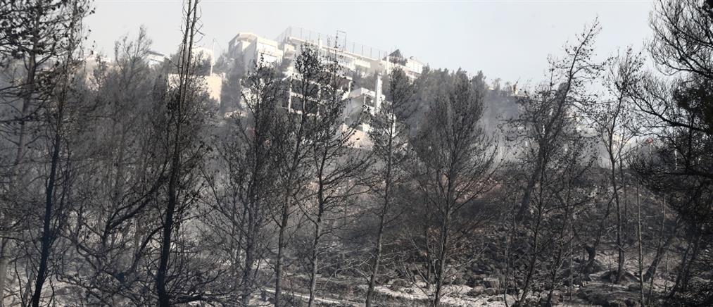 Meteo για φωτιά στη Βούλα: ξέσπασε σε περιοχή με υψηλή ευφλεκτότητα