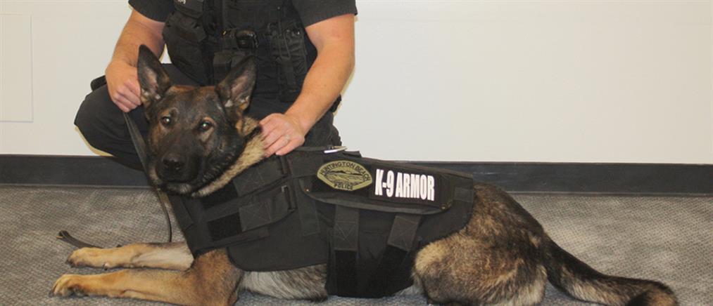 Αλεξίσφαιρα γιλέκα για τους σκύλους της αστυνομίας