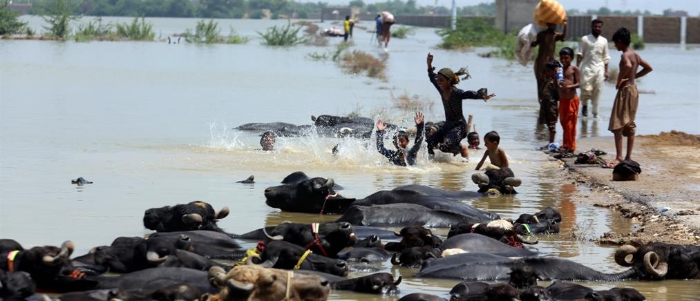 Πλημμύρες στο Πακιστάν: Προειδοποιήσεις για εξάπλωση ασθενειών (εικόνες)