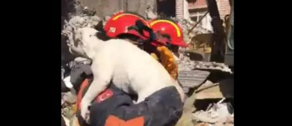 Σεισμός στην Τουρκία: Δύο σκυλάκια ανασύρθηκαν ζωντανά μετά από 200 ώρες (βίντεο)