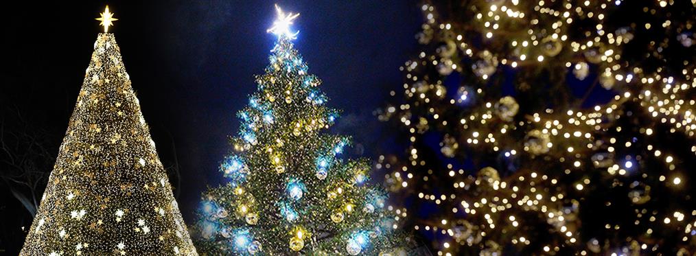 Η ιστορία του Χριστουγεννιάτικου Δέντρου – Πώς έφτασε το έθιμο στην Ελλάδα