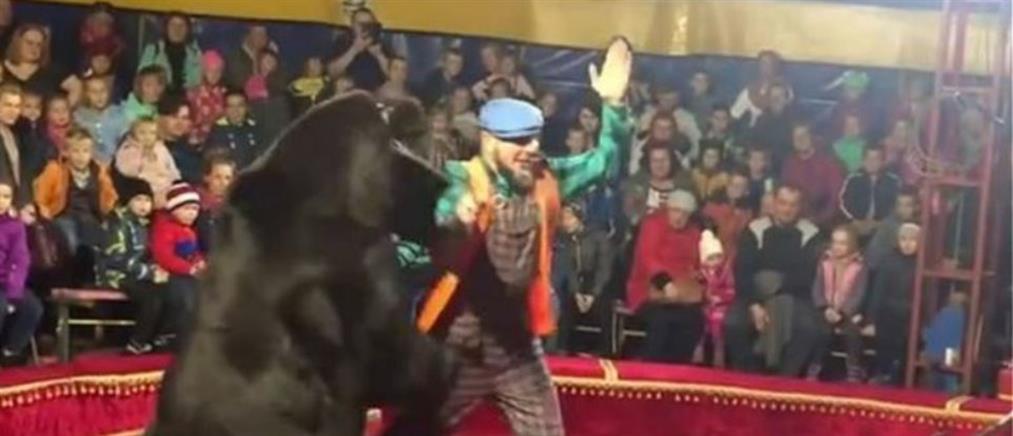 Πανικός σε τσίρκο: Αρκούδα επιτέθηκε σε θηριοδαμαστή (βίντεο)