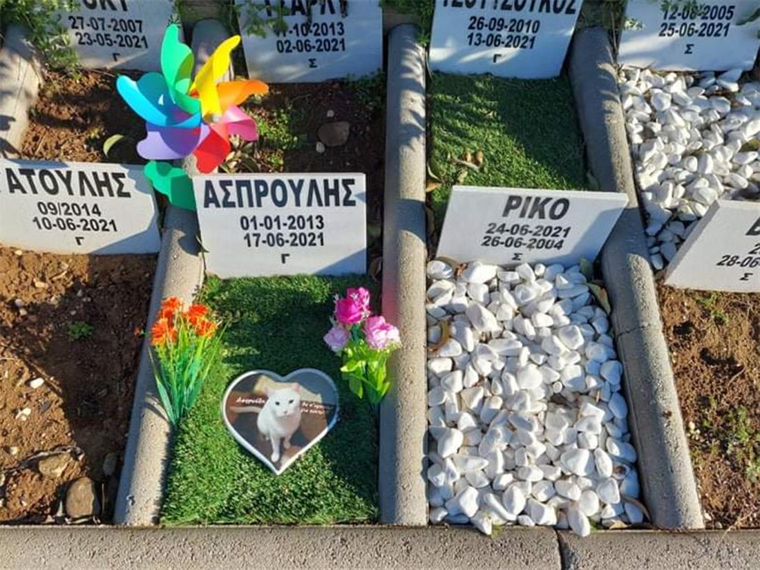Θεσσαλονίκη - αποτεφρωτήριο - νεκροταφείο ζώων