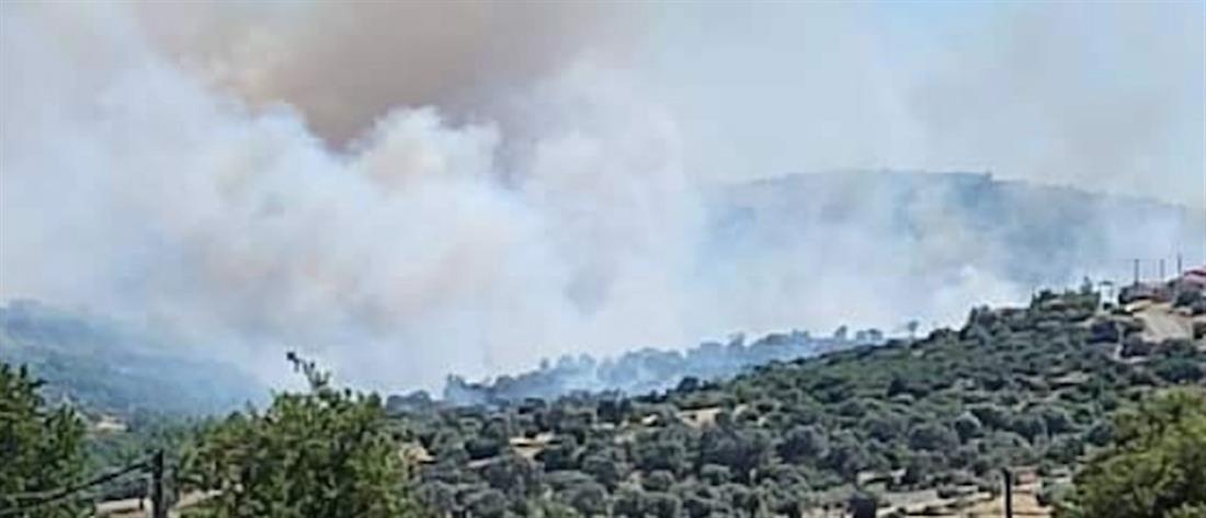 Φωτιά στην Εύβοια: μάχη με τις φλόγες από ξηράς και αέρος